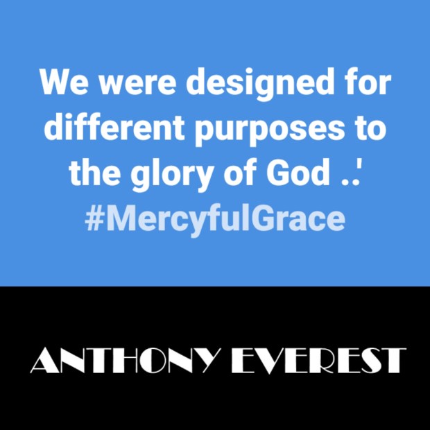 Purpose - MercyfulGrace